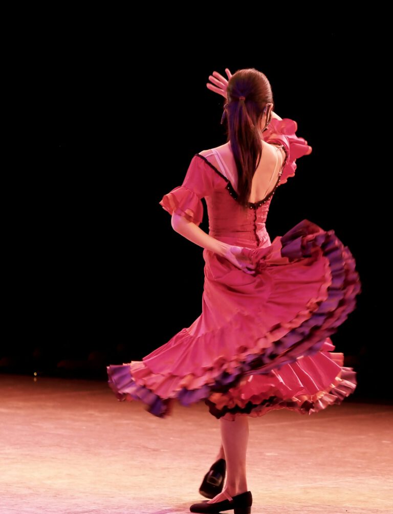 Flamenco show